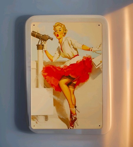 Blech metallschild pin - up*,