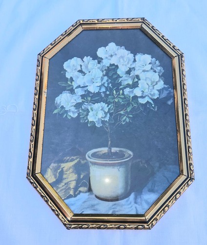 Eck bild stil leben blumen - eck,